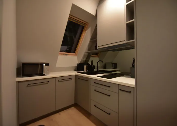 Wierchy 21h By Awapartaments 아파트 자코파네